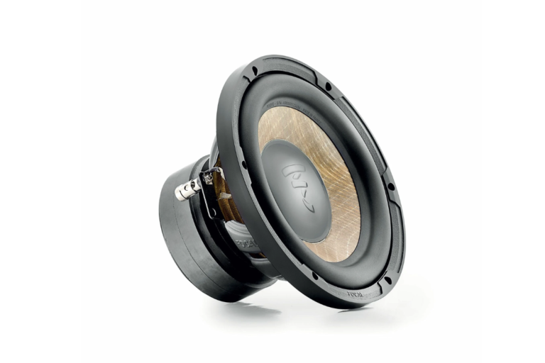 LOA SUB HƠI FOCAL P 20 FE CHO Ô TÔ XE HƠI - Ảnh 3