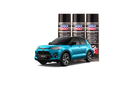 PHỦ GẦM Ô TÔ CHÍNH HÃNG LIQUI MOLY