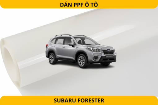 Dán PPF ô tô Subaru Forester