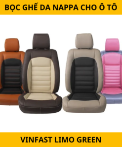 Phụ kiện xe VinFast Limo Green