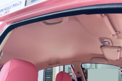 Bọc Trần Da Xe - Phụ Kiện Nội Thất Xe Limo Green