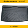 Lắp Sàn Nhựa Đúc Cho Ô Tô Tại TP. Thủ Đức