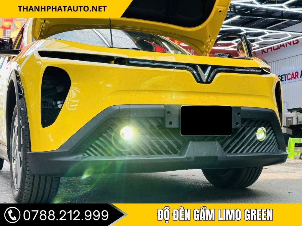 Phụ Kiện Limo Green Tại Long An