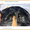 Trung Tâm Lắp Màn Hình Android Ô Tô Tại Quận 2 - Lắp Đặt Uy Tín TPHCM