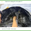 Dịch Vụ Thi Công Cách Âm Chống Ồn Ô Tô Tại Quận 11 - Thi Công Chuyên Nghiệp